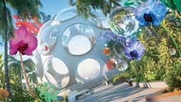 Brand Identity for Miami Design District - thumbnail 7