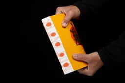 Editorial Design for Mutantes Book - thumbnail 4