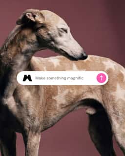 Brand Identity for an AI Creative Platform - thumbnail 17