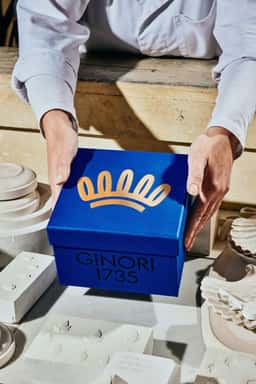 Packaging Redesign for Ginori 1735 - thumbnail 4