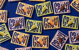 Packaging Design for Sammontana Gruvi Ice Cream Bars - thumbnail 2