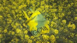 Brand Identity for GOVA Group - thumbnail 7