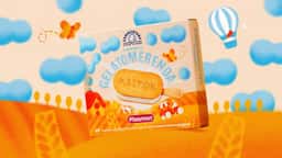 Packaging for Plasmon and Sammontana Ice Cream - thumbnail 2