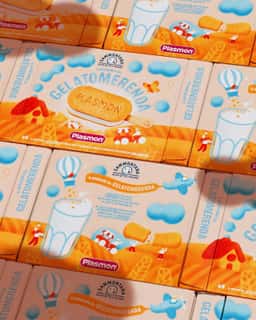 Packaging for Plasmon and Sammontana Ice Cream - thumbnail 3