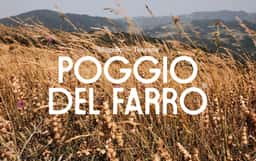 Brand Identity and Packaging for an Italian Emmer Producer - thumbnail 2