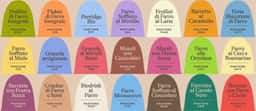 Brand Identity and Packaging for an Italian Emmer Producer - thumbnail 6