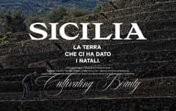 Brand Identity for Tasca Conti d'Almerita - thumbnail 9