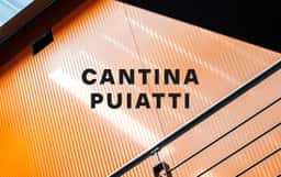 Brand Identity and Packaging for Cantina Puiatti - thumbnail 2