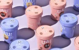 Identity and Packaging for Sammontana UAU! Ice Cream - thumbnail 2
