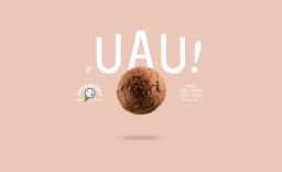 Identity and Packaging for Sammontana UAU! Ice Cream - thumbnail 3