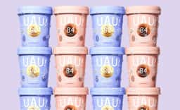 Identity and Packaging for Sammontana UAU! Ice Cream - thumbnail 9