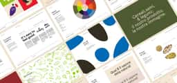 Brand Identity and Packaging for Pedon Legumes - thumbnail 8