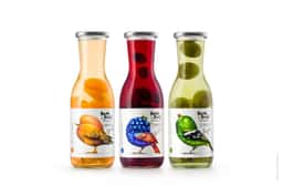 Brand Identity for Beak Pick! Preserves - thumbnail 9