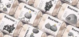 Packaging Design for Bnavan Eggs - thumbnail 3