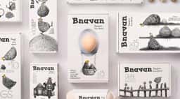 Packaging Design for Bnavan Eggs - thumbnail 4