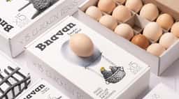 Packaging Design for Bnavan Eggs - thumbnail 5