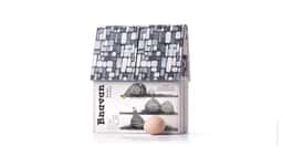 Packaging Design for Bnavan Eggs - thumbnail 6