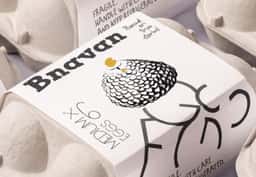 Packaging Design for Bnavan Eggs - thumbnail 7