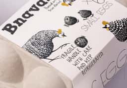 Packaging Design for Bnavan Eggs - thumbnail 8