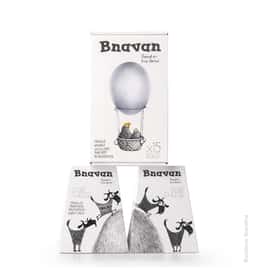 Brand Identity and Packaging for Bnavan Dairy Products - thumbnail 8
