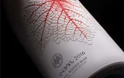 Wine Packaging for Avyun - thumbnail 3