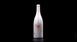 Wine Packaging for Avyun - thumbnail 8
