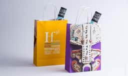 Brand Identity for an International Performing Arts Festival - thumbnail 9