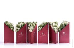 Packaging Design for Coco Fiori Share Collection - thumbnail 2