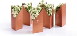 Packaging Design for Coco Fiori Share Collection - thumbnail 3