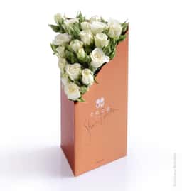 Packaging Design for Coco Fiori Share Collection - thumbnail 5