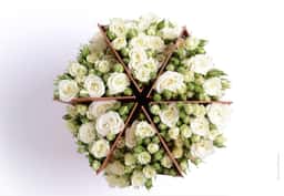 Packaging Design for Coco Fiori Share Collection - thumbnail 7