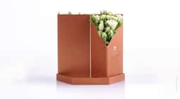 Packaging Design for Coco Fiori Share Collection - thumbnail 8