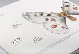 Annual Report Design for Prometey Bank - thumbnail 4