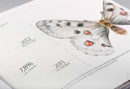 Annual Report Design for Prometey Bank - thumbnail 5