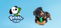 Branding and Packaging for a Dog Toothbrush - thumbnail 3