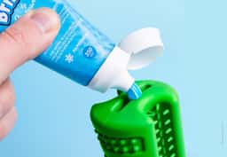Branding and Packaging for a Dog Toothbrush - thumbnail 5