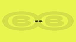 Brand and Digital Relaunch for Lassie - thumbnail 2