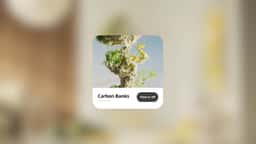 Creative Direction and Microsite for IKEA Carbon Banks - thumbnail 3