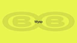 Naming and Brand Identity for Wysp - thumbnail 2