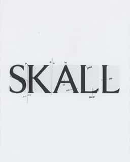 Brand Identity and E-Commerce for Skall Studio - thumbnail 5