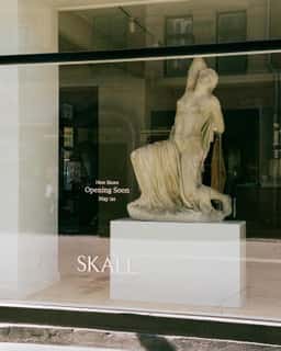 Brand Identity and E-Commerce for Skall Studio - thumbnail 9