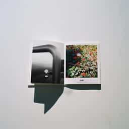 Launch Campaign for GUBI Portable Multi-Lite - thumbnail 9