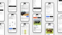 Marketplace Website for Livestock Genetics - thumbnail 4