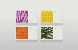 Brand Refresh for Tian Yuan Xiang - thumbnail 5