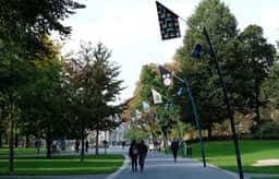 Flag Installation for Graphic Matters Festival - thumbnail 9