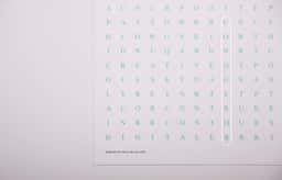 Campaign Design for Conqueror Design Contest 2015–16 - thumbnail 9