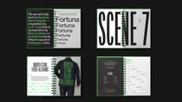 Brand Identity for North Star Film Alliance - thumbnail 4