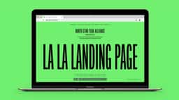 Brand Identity for North Star Film Alliance - thumbnail 5