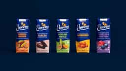 Brand Identity and Packaging for Elovena Oats - thumbnail 6