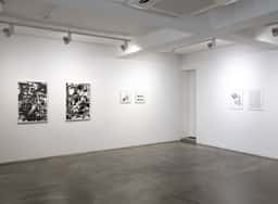 Exhibition Design for Dogs - thumbnail 2
